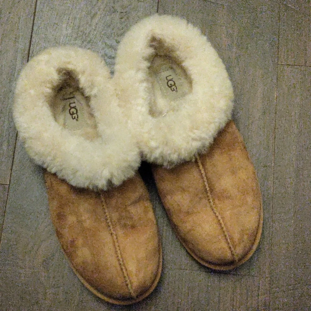 UGG Women's Casual Shoes Women's Low-Top Chestnut